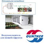 Guntner Agri-Cooler — воздухоохладитель для сельскохозяйственной