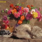 Адресные поздравления в стихах для ваших близких