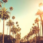 Иммиграционные услуги, ПМЖ, ВНЖ, второе гражданство