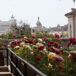 Иммиграционные услуги, ПМЖ, ВНЖ, второе гражданство