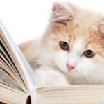 Особенные стихотворения для любого праздника