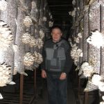 Мицелий грибов на зерне, мицелий на палочках, субстраты, почтово-транспортная рассылка