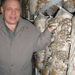 Мицелий грибов, субстраты, почтовая рассылка