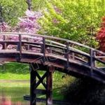 Cтроительство дачного пруда, гидроизоляция искусственных водоёмов. ШЕФ МОНТАЖ.