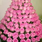 Квесты, тим-билдинги.