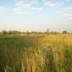 Прекрасное место для Вашего будущего дома