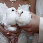 Профессиональная фото и видеосъемка мероприятий.