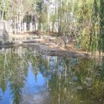 Строительство пруда. Под ключ. Гидроизоляция. ШЕФ МОНТАЖ.