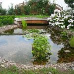 Строительство пруда. Под ключ. Гидроизоляция. ШЕФ МОНТАЖ.