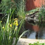 Водоем на даче. Строительство прудов. Гидроизоляция.  Шеф Монтаж.