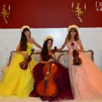 Музыканты - струнное трио, рок, поп, классика, музыка из кино