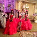 Музыканты - струнное трио, рок, поп, классика, музыка из кино