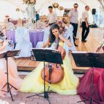 Музыканты - струнное трио, рок, поп, классика, музыка из кино