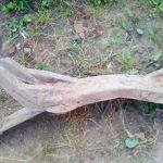 Продам по запчастям Nissan Largo 1996г. двигатель 2л. дизель,  полный привод, сгнил кузов. Вся м