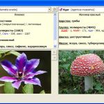 Реперториум Кента Пересвет. Гомеопатия, Материя Материа Materia Medica Медика Пересвет