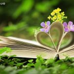 Стихи на заказ адресно