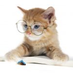 Стихотворные поздравления на любые торжества